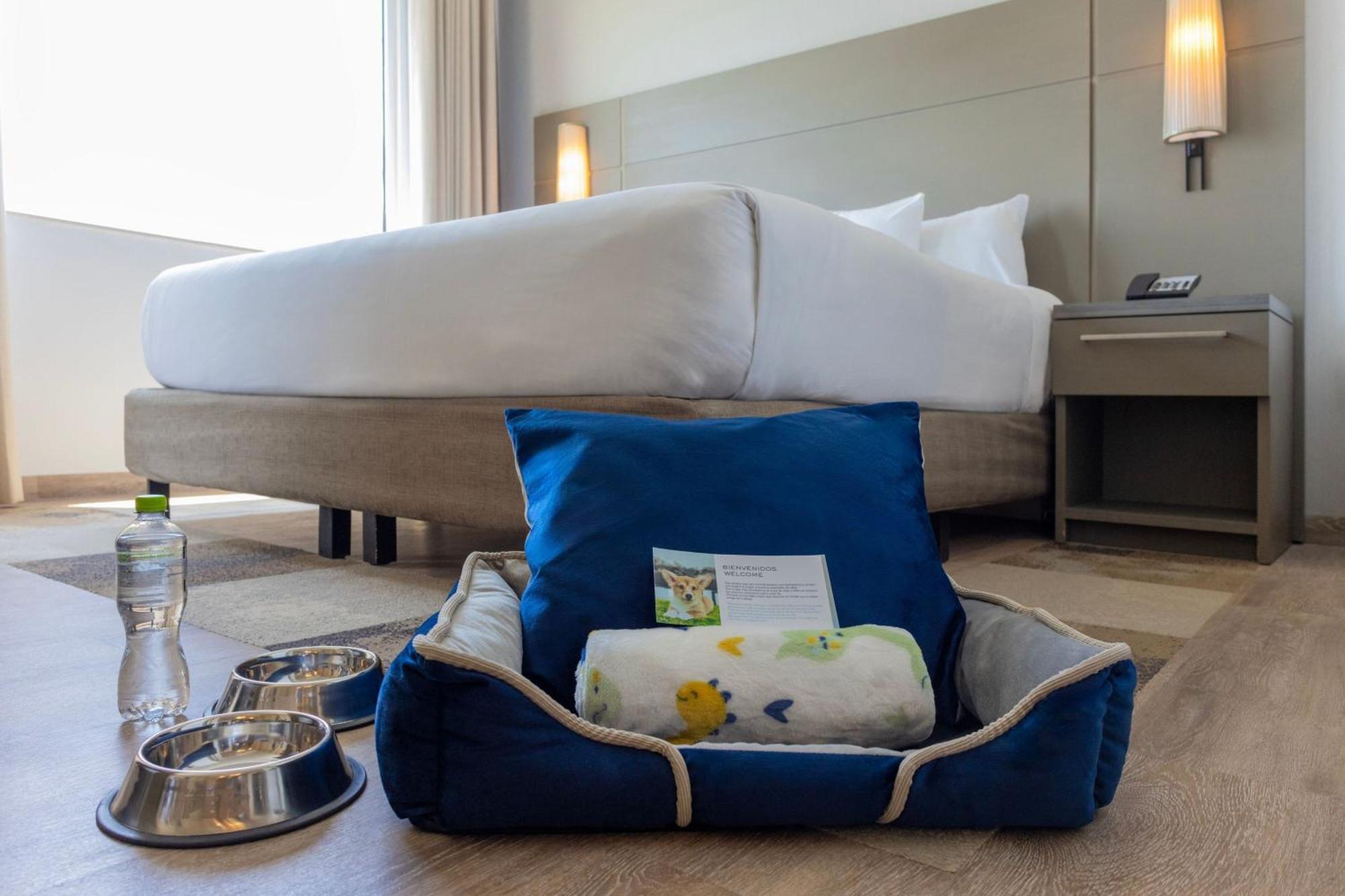 Residence Inn By Marriott פלאייה דל כרמן מראה חיצוני תמונה